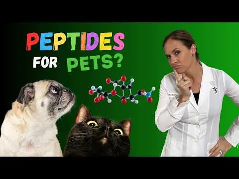 Video thumbnail for Peptides for Dogs and Cats: The Missing Signal in Chronic Disease [Holistic Vet Advice]